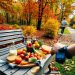 An Image Of Fall into Fat Loss - Leveraging Autumn for Maximum Results